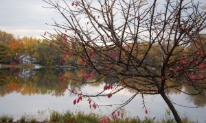 Fall is Fading on Fisk Lake