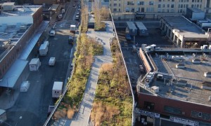 Head up to the High Line–an urban park in the sky
