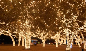 Magical Holiday lighting in Johnson City, Texas