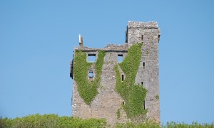 Tall Castles Dot Irish Landscape