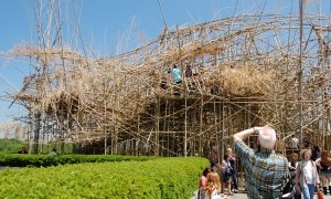 Care to Climb: Big Bambu in New York City