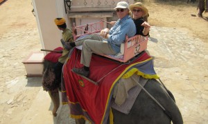 Riding an Elephant in Rajasthan