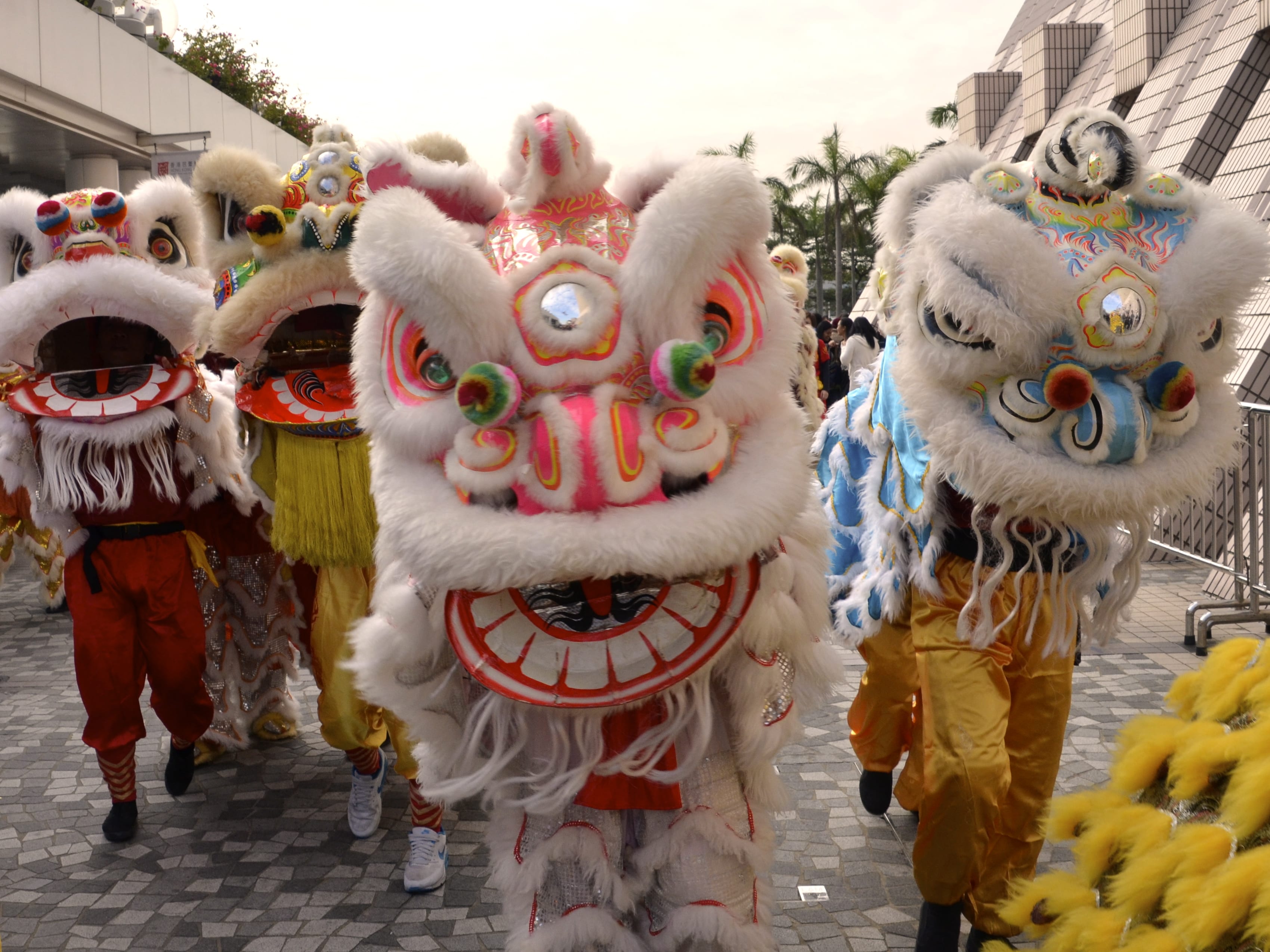 Dragons and Lions Dance in Hong Kong | DesignDestinations, image size:3399x2549