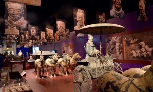 Chicago’s Field Museum features interesting exhibits this summer