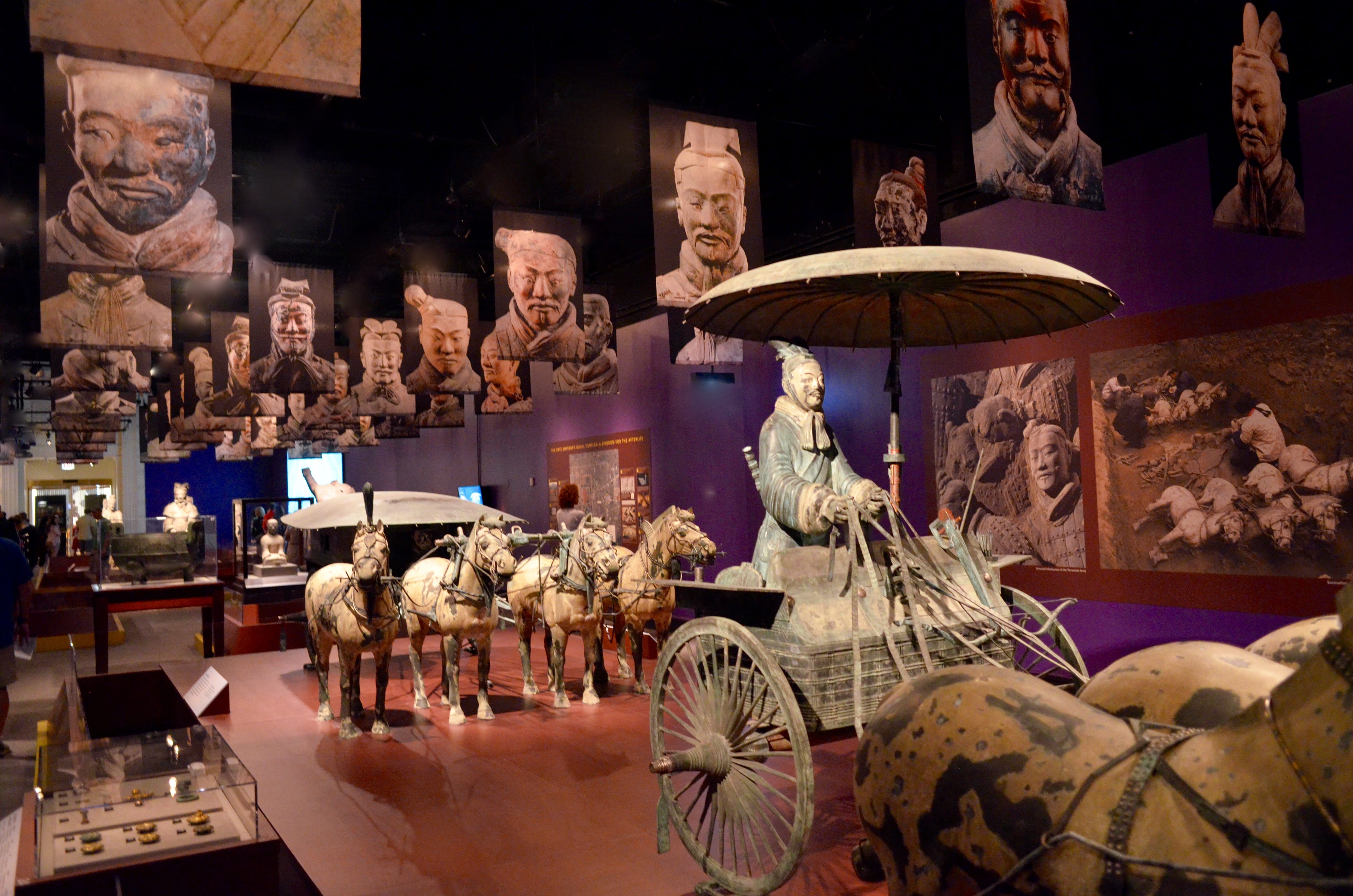 Chicago’s Field Museum features interesting exhibits this summer