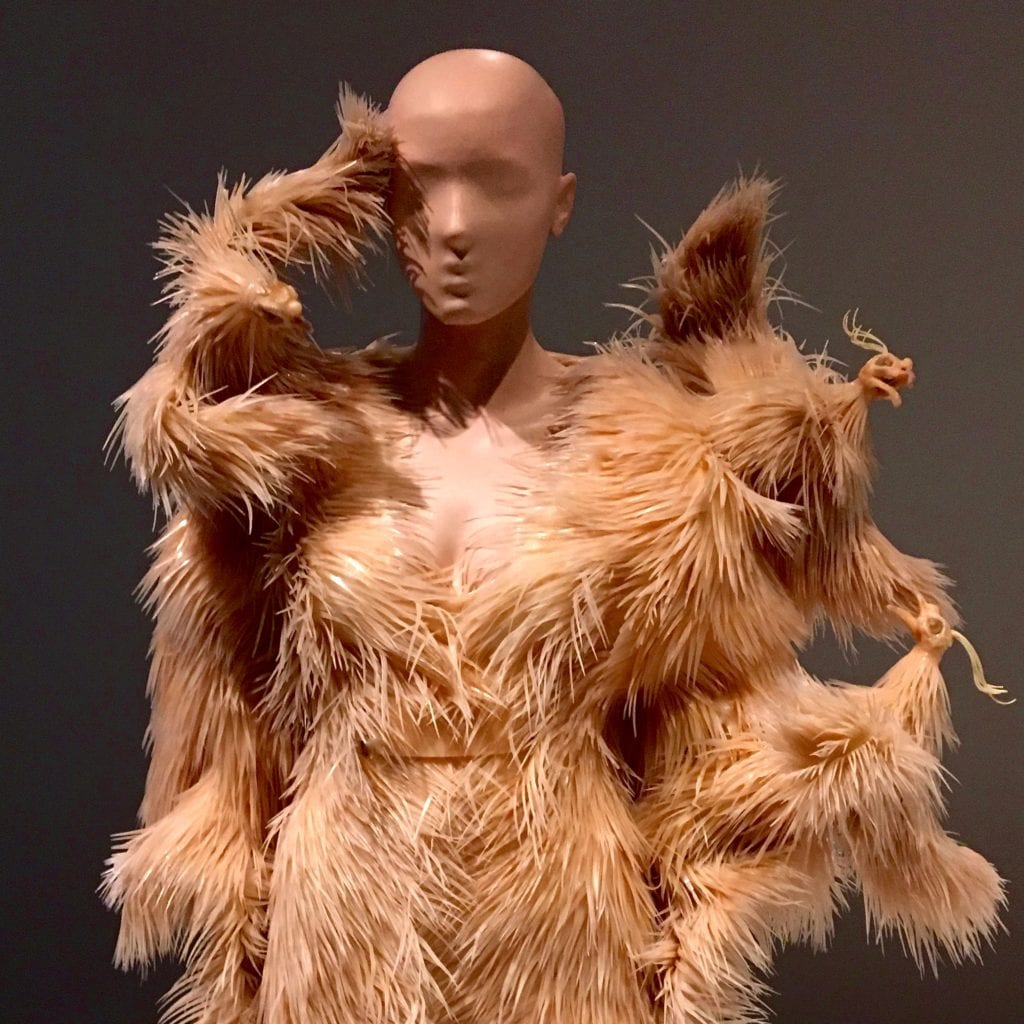 Iris van Herpen