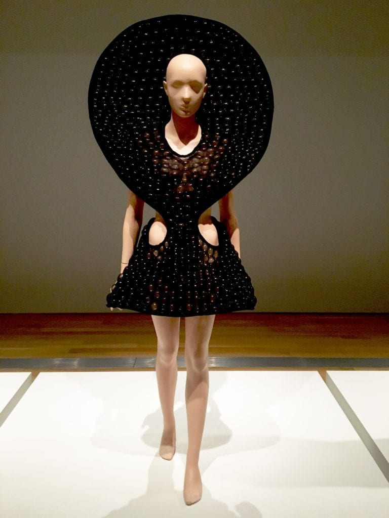 Iris van Herpen