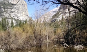 Guest Blogger Shares Yosemite Experience