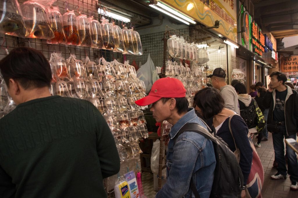 Hong Kong Gold Fish Mark