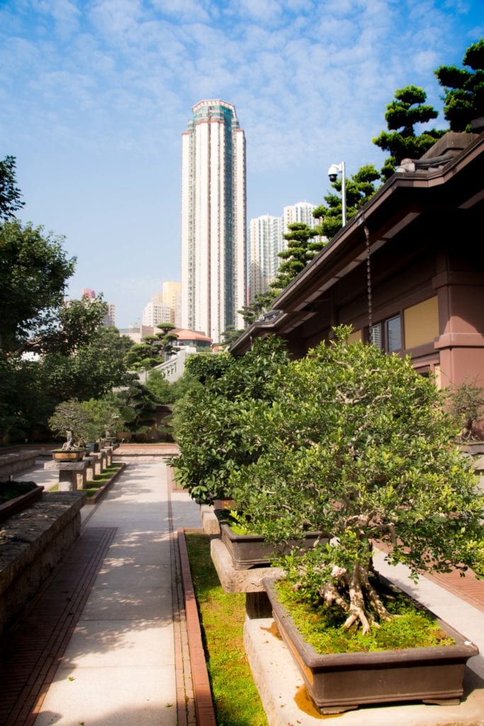 Chi Lin Nunnery Hong Kong