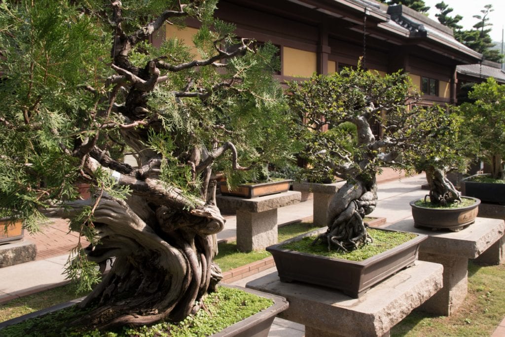 Chi Lin Nunnery Hong Kong