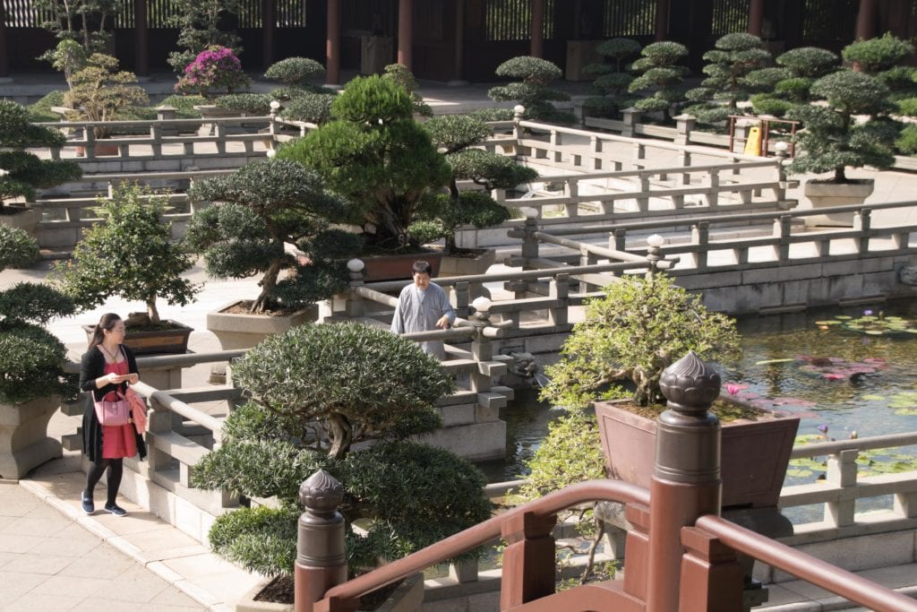 Chi Lin Nunnery Hong Kong