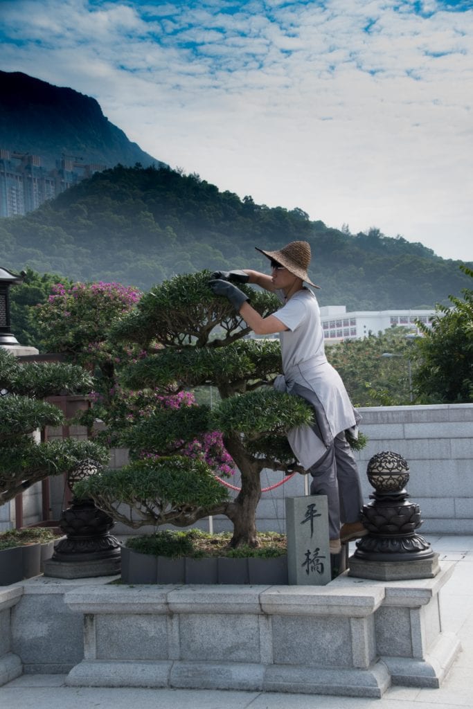 Chi Lin Nunnery Hong Kong