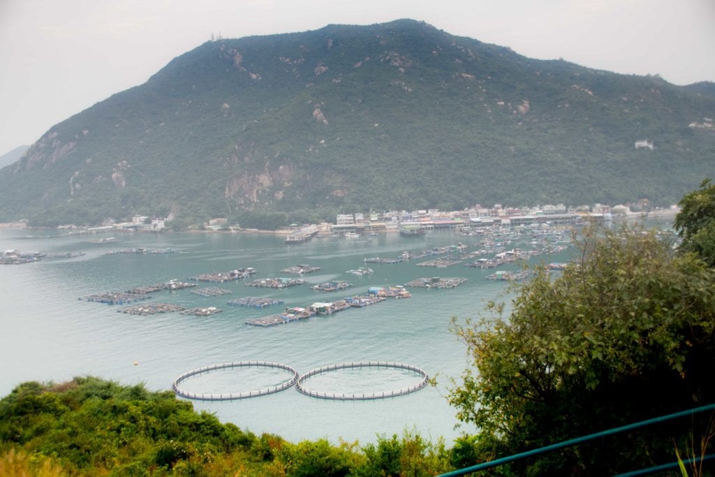 Lamma Island 