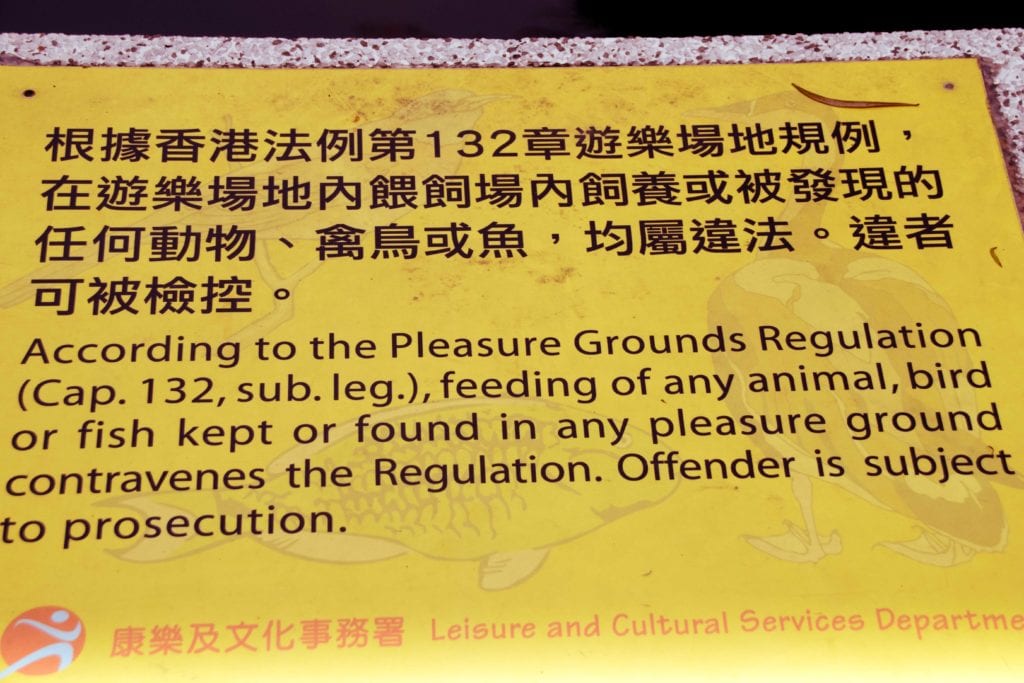Hong Kong Signs 