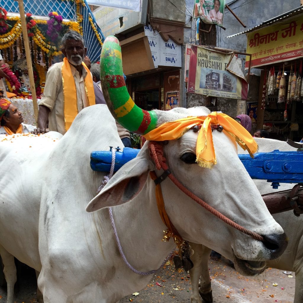 Holi Festival 