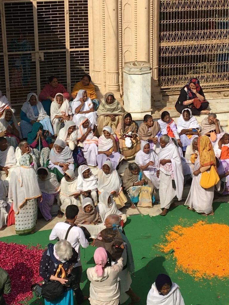 Widows at the Holi Festival