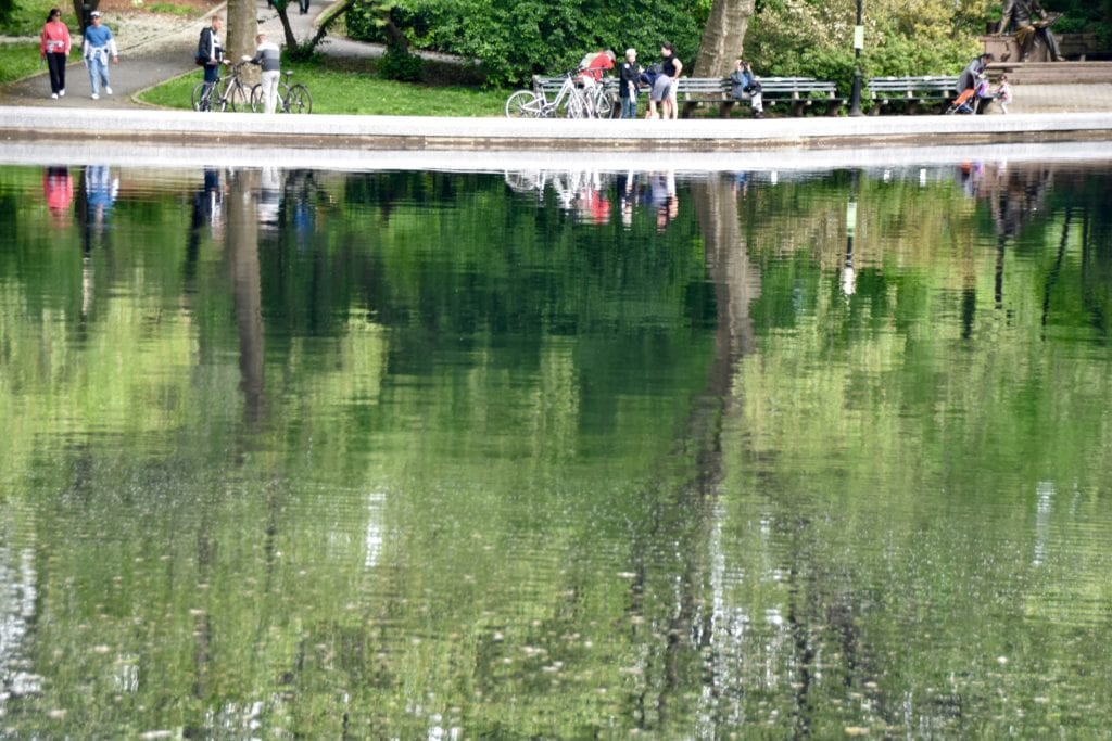 Central Park, NYC 