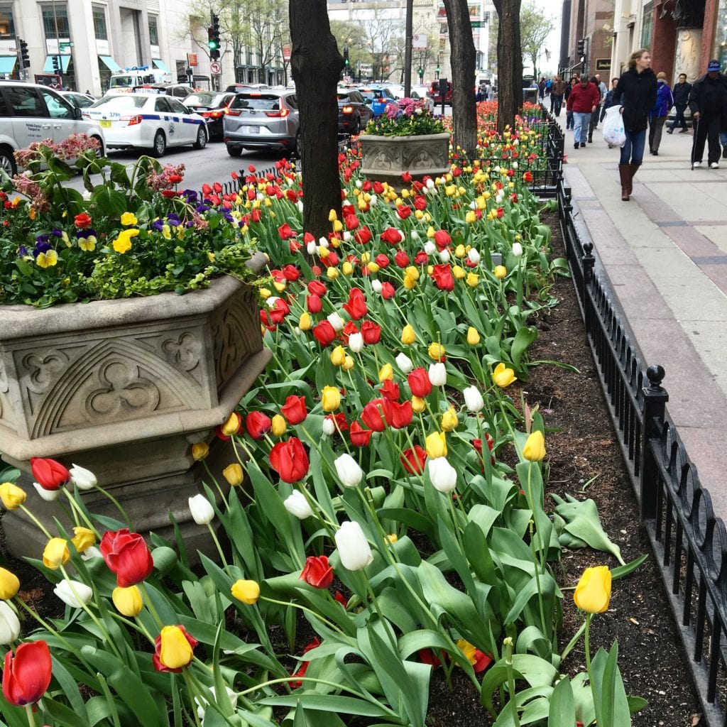 Michigan Avenue, Chicago
