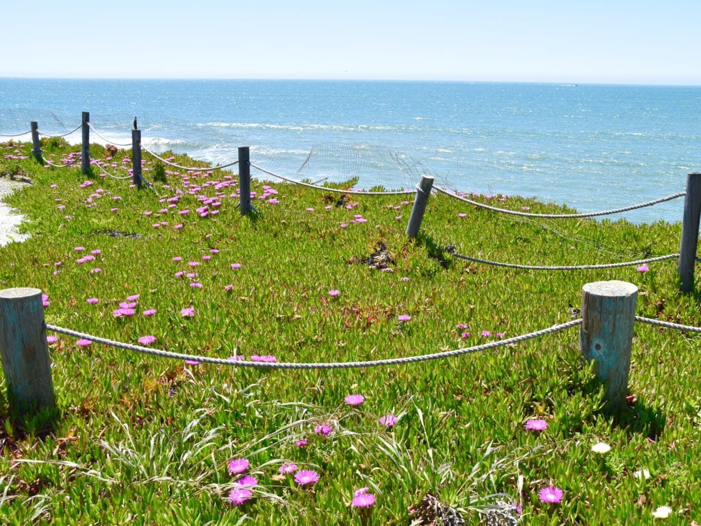 Coastal Walkway at Half Moon Bay, CA 