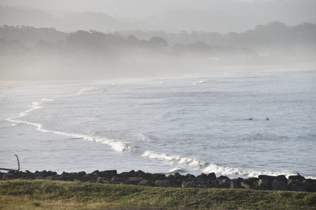 Foggy Morning, Half Moon Bay, CA 