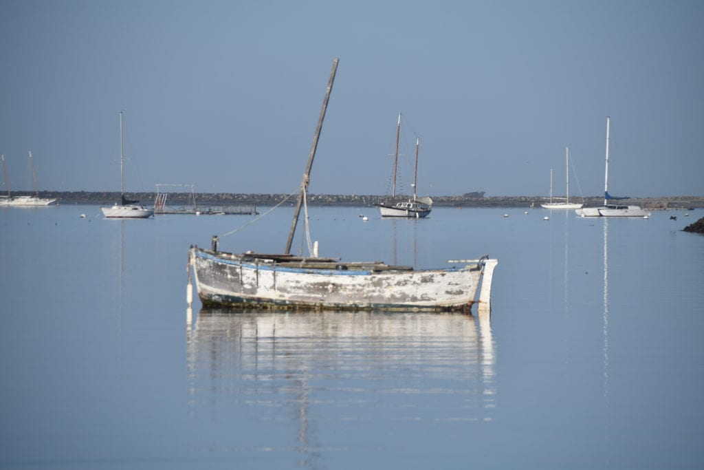Reflections Half Moon Bay