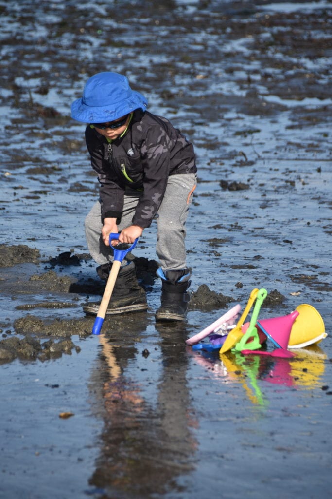 Digging for clams 