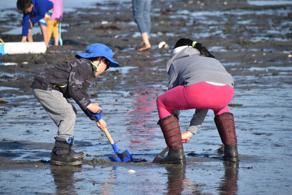 Digging for clams 
