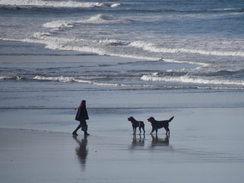 Half Moon Bay, CA 