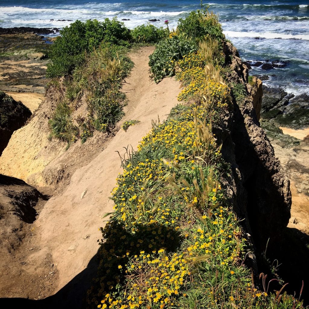 Half Moon Bay Coastline