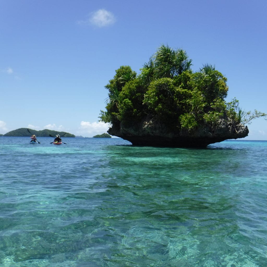Palau: Small Foliated Island 
