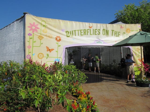 Disney World : International Flower and Garden Festival