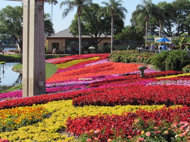 Disney World
