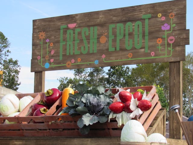 Disney World : International Flower and Garden Festival