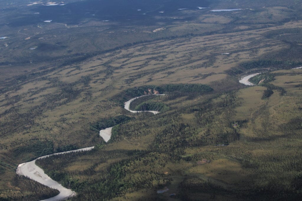 Winding river, tundra/spruce forests