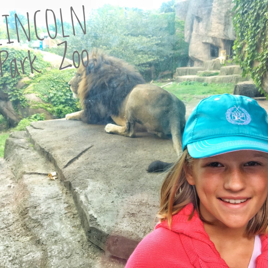 Lincoln Park Zoo 