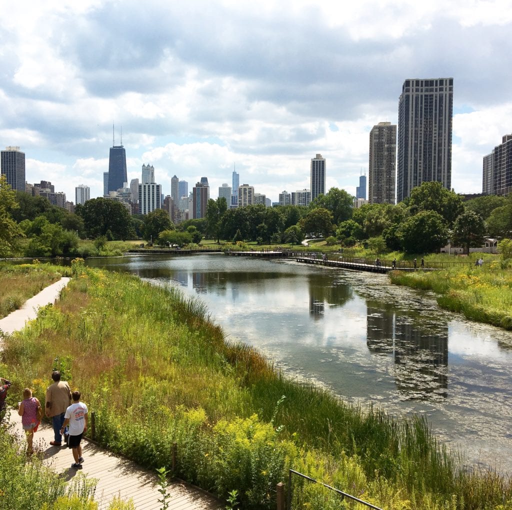 Chicago from Lincoln Park Zoo 