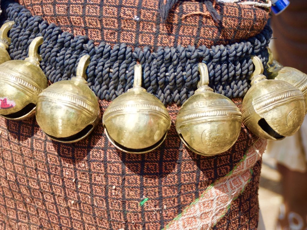 Kavant Fair, India 