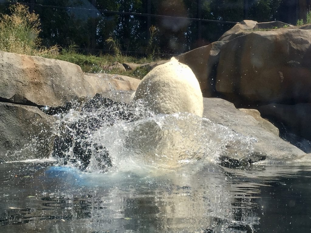 Lincoln Park Zoo 