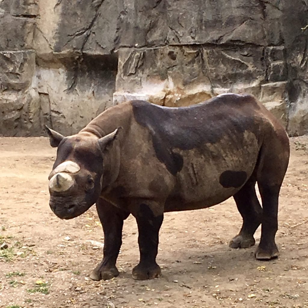 Lincoln Park Zoo 