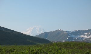 Denali: The Mountain