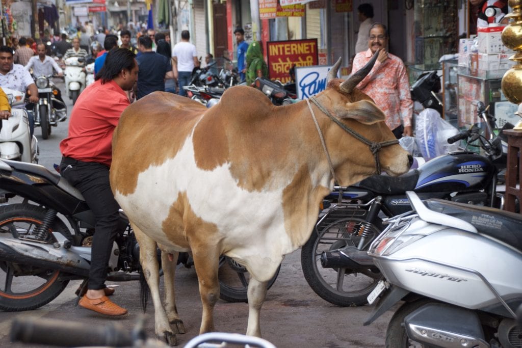 City scene in India 