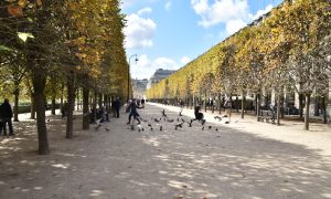 Meandering Paris–Come Walk with me
