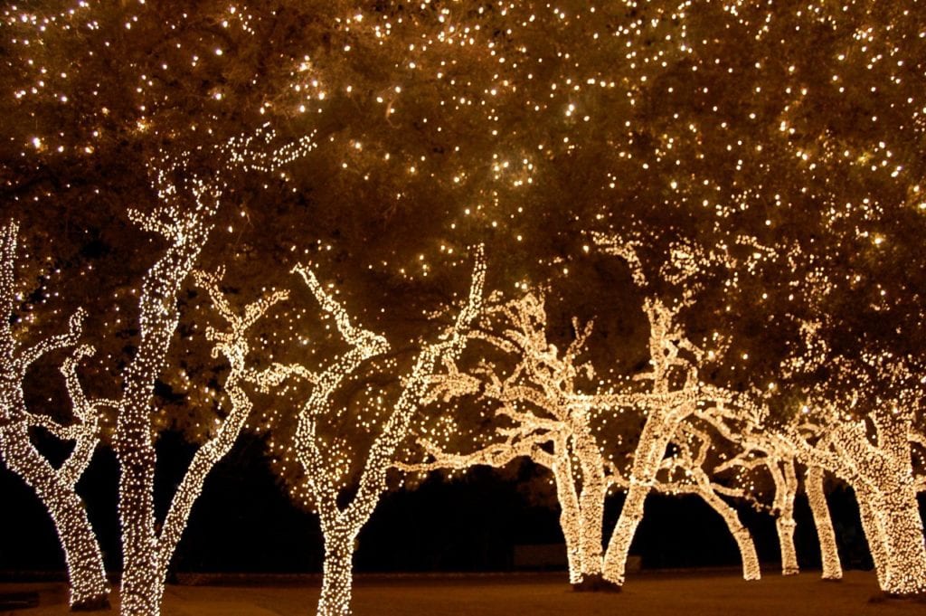 Holiday Lights in Texas 