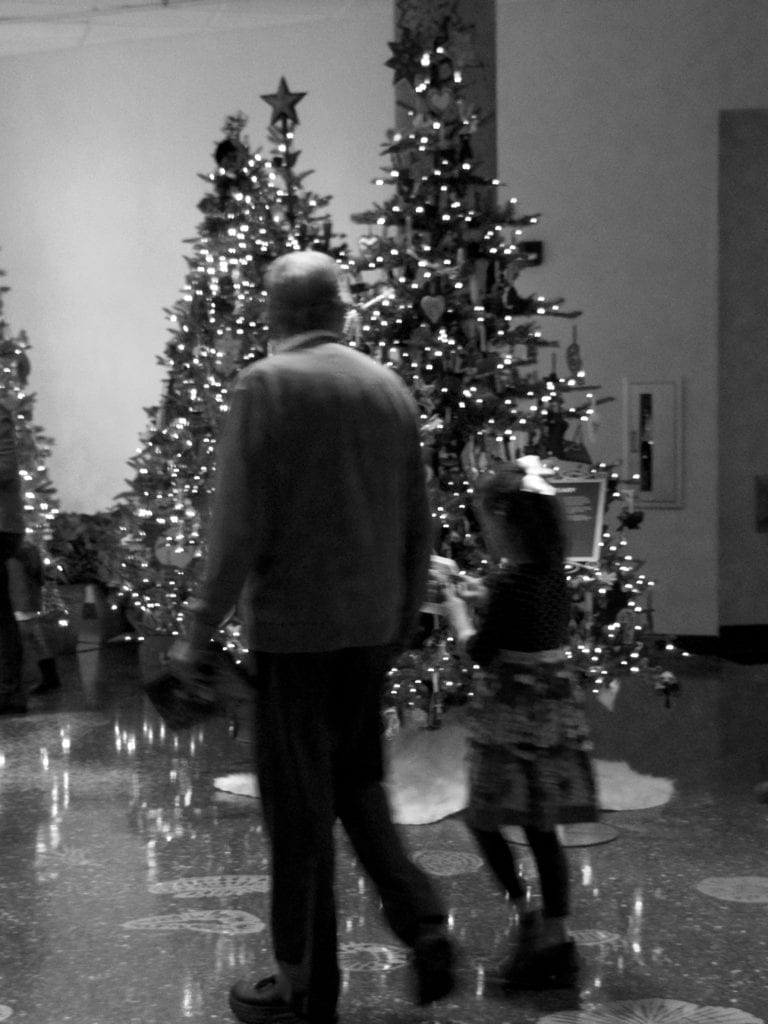 Holiday Tree at Meijer Gardens, Grand Rapids 