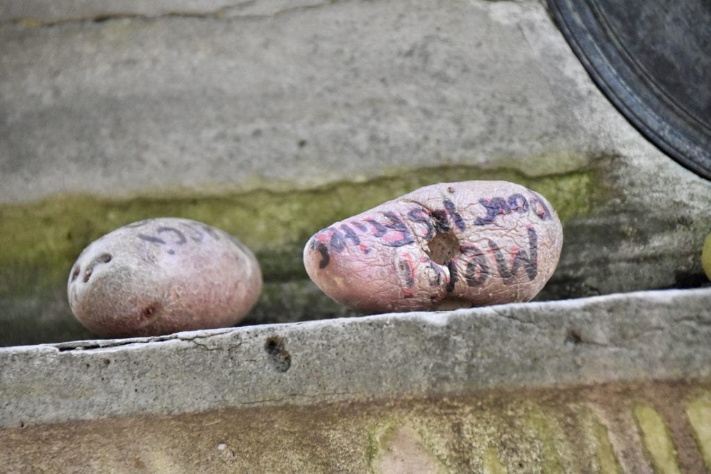 Potatoes on a grave site 