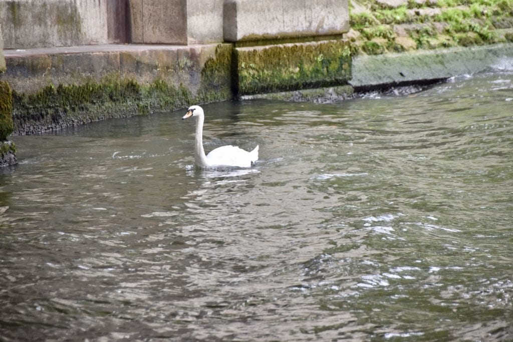 Paris--The Seine 