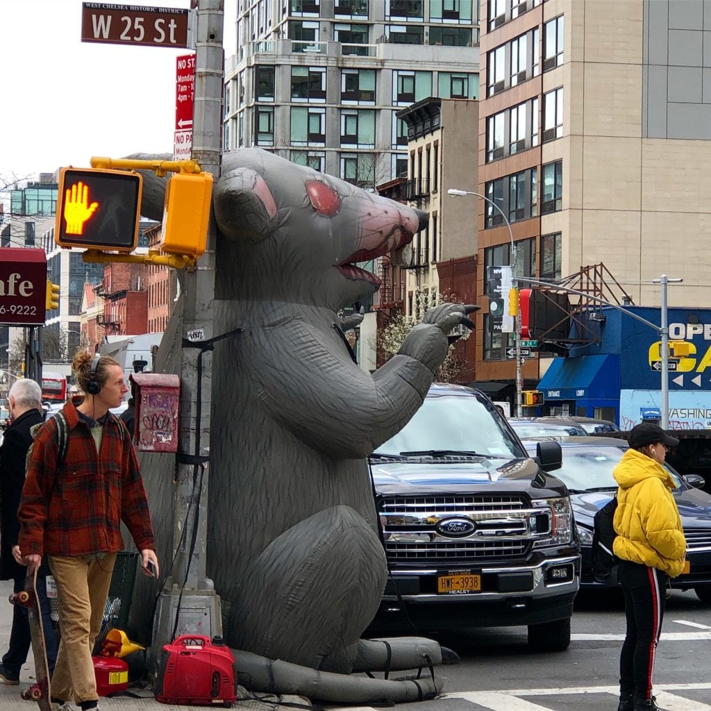 Spotted on a street corner in NYC 