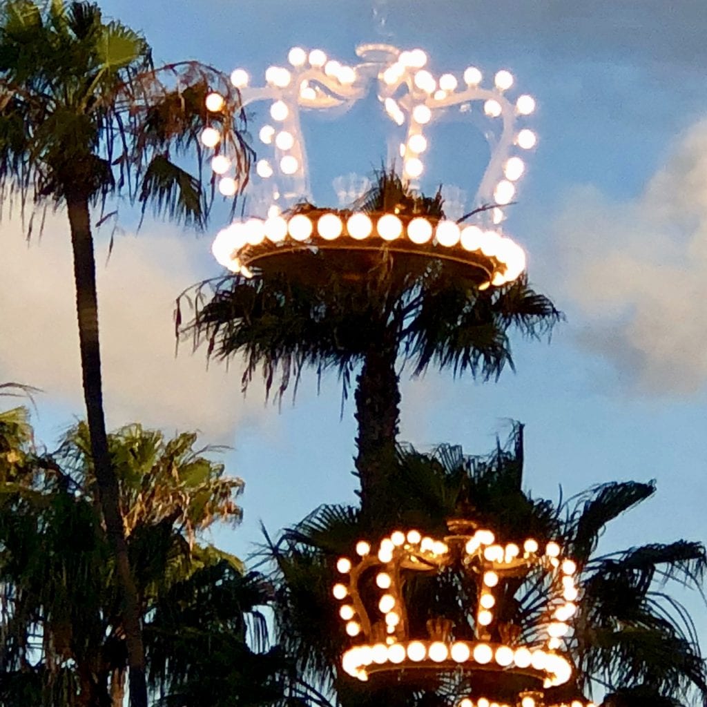 palm tree reflections in the glass 