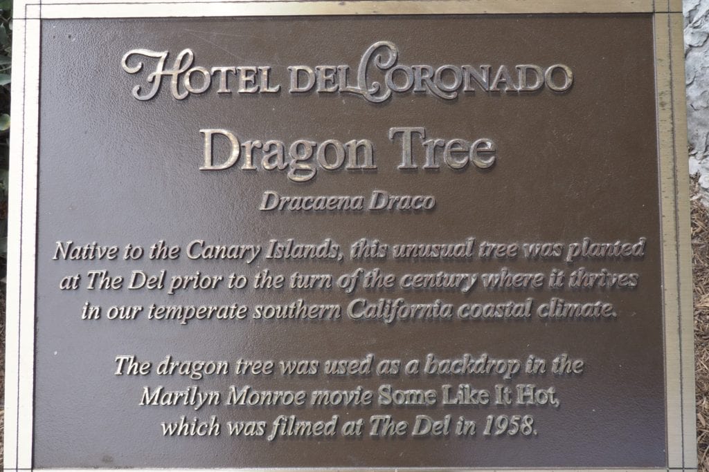 The Dragon Tree 